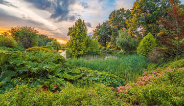 Grntne am Teich, Bozena Piotrowska 
(1. Preis Beautiful Gardens)