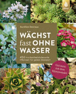 Wächst fast ohne Wasser