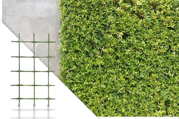Die GREENWALL ist uerst leichtes Rankgitter.