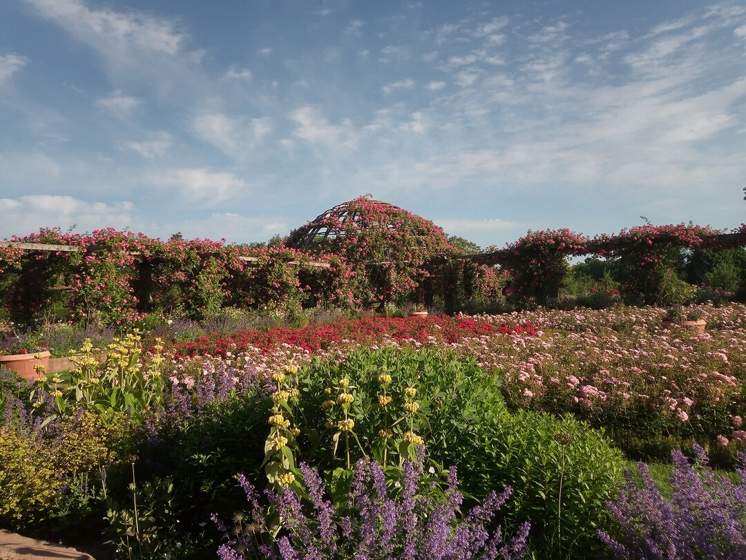 Rosenhöhe Darmstadt: Rosarium mit Rosendom und Beete mit Rosen und trockenheitsresistenten Stauden im Vordergrund<br>