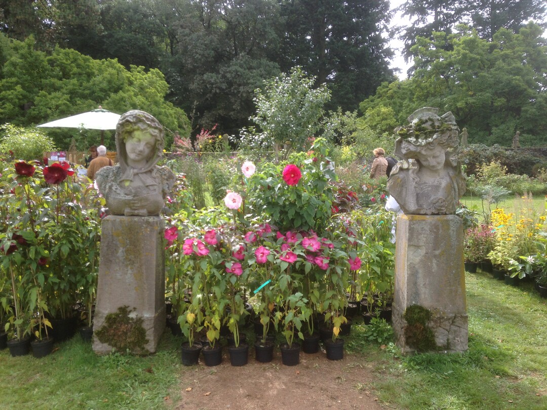Eingerahmt von Statuen  Hibiscus zum Verkauf.