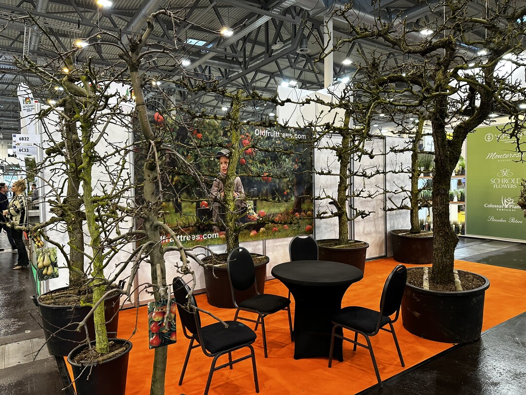Klimabume standen im Fokus der diesjhrigen Weltleitmesse des Gartenbaus. Im Bild alte fruchtende Sorten