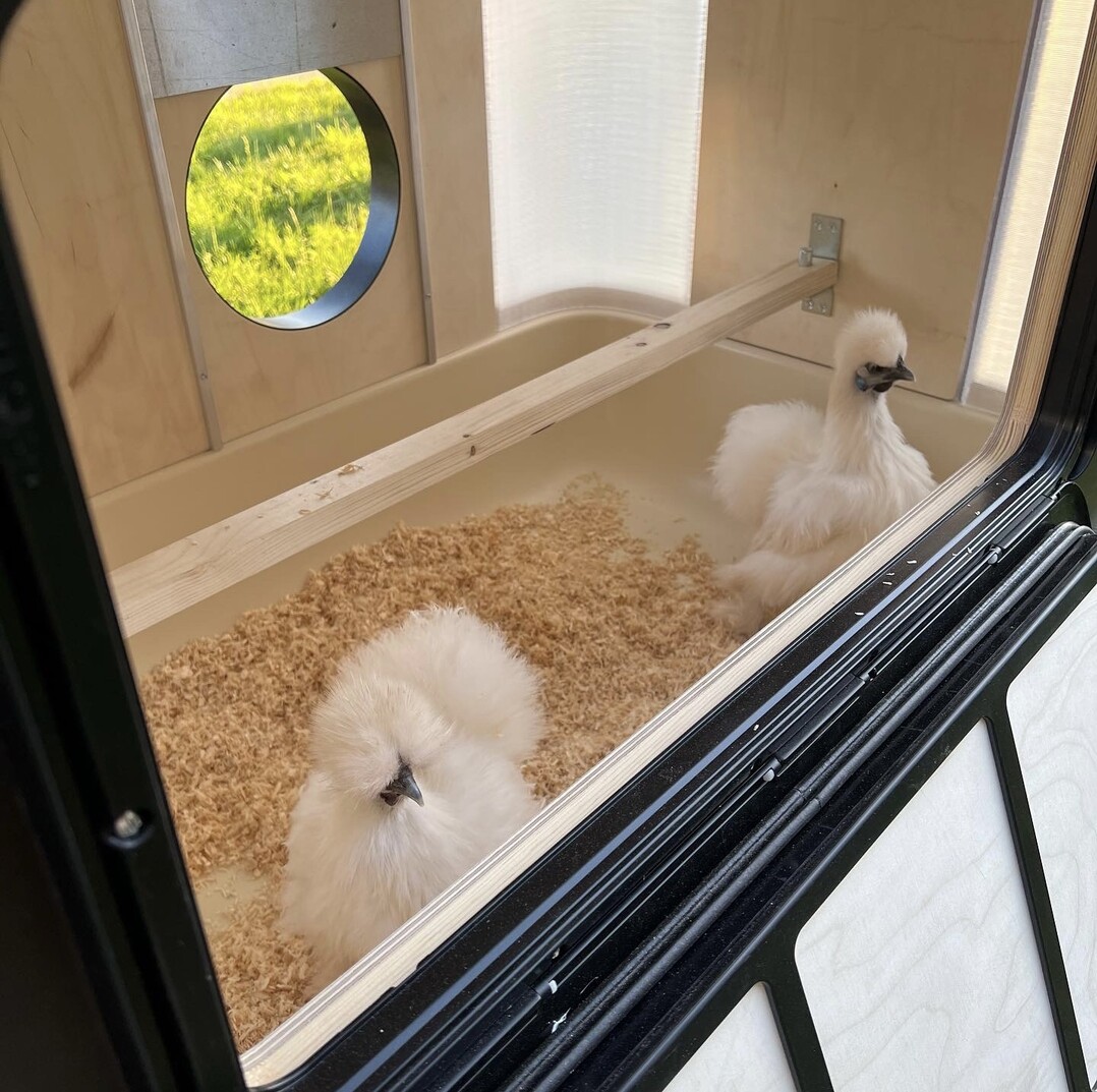 Einhuhn UG