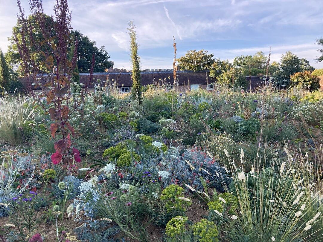 Knepp Estate and Gardens: 2. Preis Kategorie Manahmen der Klimaanpassung in historischen Parks und Grten