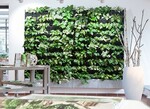 Die innovativen, grünen Pflanzwände Living Walls by Degardo wurden im Rahmen des etablierten Awards „Gärten des Jahres“ zur besten Lösung des Jahres 2020 gekürt.