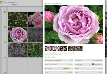 Hinter der neuen Pflanzenreich-App steht die Landschaftsarchitektin Petra Pelz. 