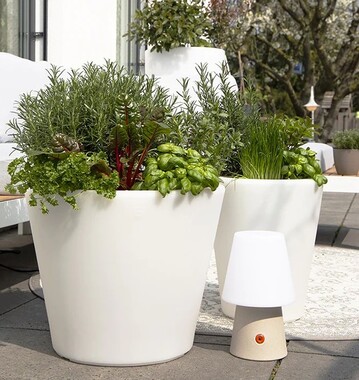 Der Blumentopf SHINING Classic POT ist eine blhende Lichtquelle mit Wow-Effekt.
