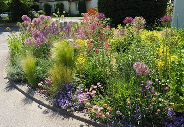 Jetzt mitmachen beim Fotowettbewerb Rettet den Vorgarten und Gartengutscheine im Wert von 1000  gewinnen.